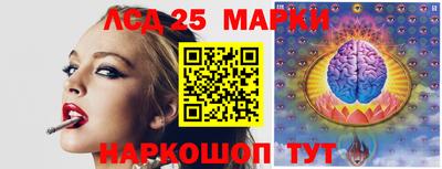 мяу мяу мука Малоярославец