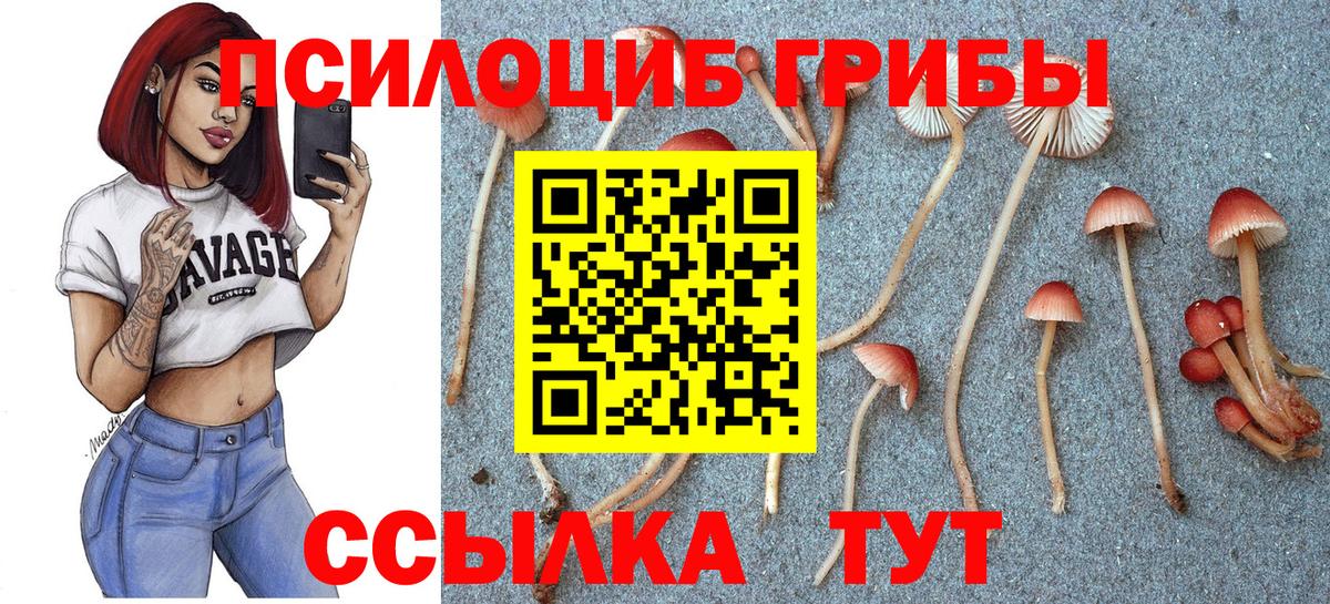 Галлюциногенные грибы Magic Shrooms Осинники